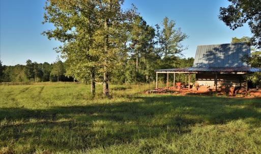 Photo #8 of SOLD property in 479 Autumn Drive, Ridgeway, SC 131.2 acres