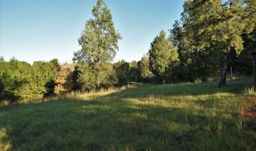 Photo #9 of SOLD property in 479 Autumn Drive, Ridgeway, SC 131.2 acres