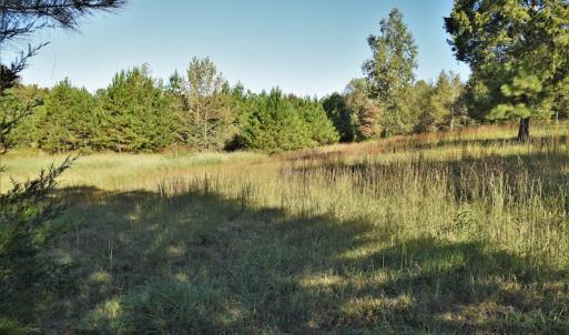 Photo #10 of SOLD property in 479 Autumn Drive, Ridgeway, SC 131.2 acres