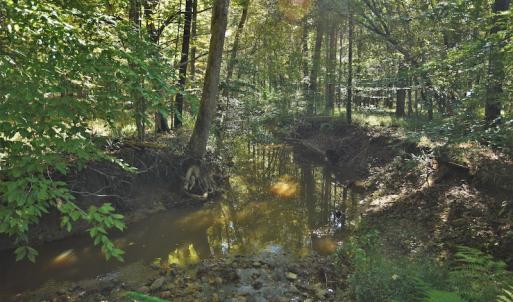 Photo #11 of SOLD property in 479 Autumn Drive, Ridgeway, SC 131.2 acres