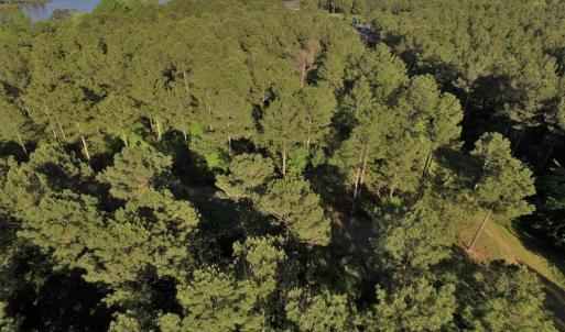 Photo #9 of SOLD property in 608 Westshore Drive, Ridgeway, SC 15.9 acres