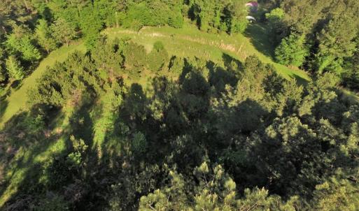 Photo #10 of SOLD property in 608 Westshore Drive, Ridgeway, SC 15.9 acres