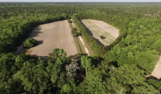 Photo #3 of SOLD property in Off Grahamville Road, Conway, SC 1,020.2 acres
