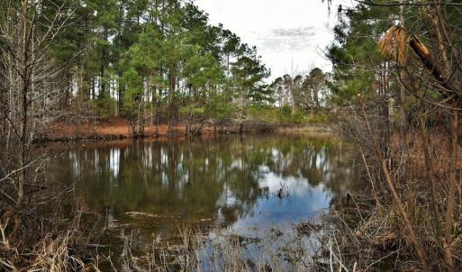 Photo #5 of SOLD property in Off Grahamville Road, Conway, SC 1,020.2 acres