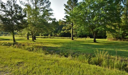Photo #6 of SOLD property in Off Grahamville Road, Conway, SC 1,020.2 acres