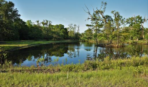 Photo #7 of SOLD property in Off Grahamville Road, Conway, SC 1,020.2 acres