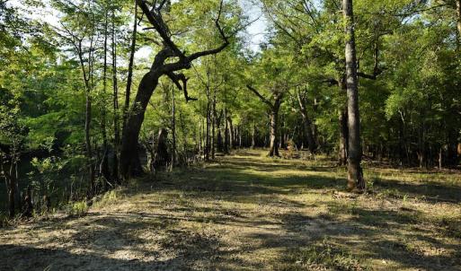 Photo #8 of SOLD property in Off Grahamville Road, Conway, SC 1,020.2 acres