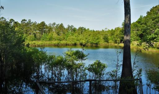 Photo #10 of SOLD property in Off Grahamville Road, Conway, SC 1,020.2 acres