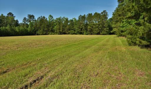 Photo #11 of SOLD property in Off Grahamville Road, Conway, SC 1,020.2 acres