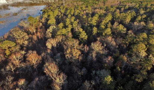 Photo #3 of SOLD property in 1315 Cantey Hill Lane, Camden, SC 50.6 acres