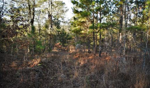 Photo #5 of SOLD property in 1315 Cantey Hill Lane, Camden, SC 50.6 acres