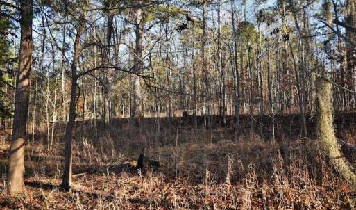 Photo #8 of SOLD property in 1315 Cantey Hill Lane, Camden, SC 50.6 acres