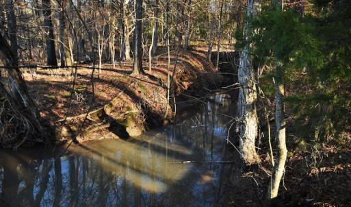 Photo #9 of SOLD property in 1315 Cantey Hill Lane, Camden, SC 50.6 acres