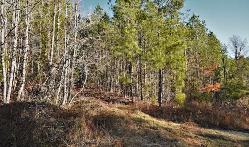 Photo #10 of SOLD property in 1315 Cantey Hill Lane, Camden, SC 50.6 acres