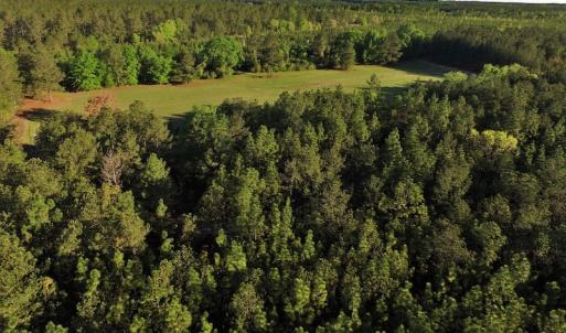 Photo #2 of SOLD property in 2650 Mill Creek Road, Bethune, SC 102.0 acres