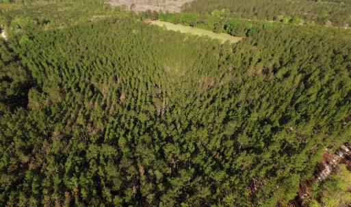 Photo #4 of SOLD property in 2650 Mill Creek Road, Bethune, SC 102.0 acres