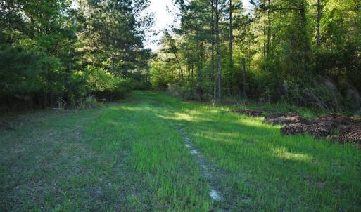 Photo #5 of SOLD property in 2650 Mill Creek Road, Bethune, SC 102.0 acres
