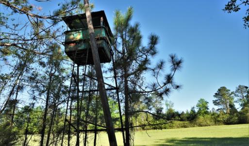 Photo #6 of SOLD property in 2650 Mill Creek Road, Bethune, SC 102.0 acres