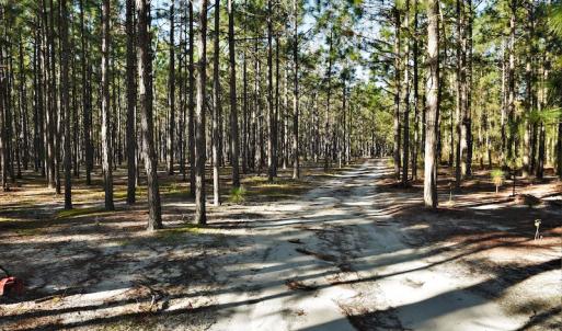 Photo #7 of SOLD property in 2650 Mill Creek Road, Bethune, SC 102.0 acres