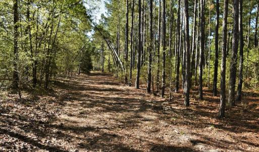 Photo #8 of SOLD property in 2650 Mill Creek Road, Bethune, SC 102.0 acres