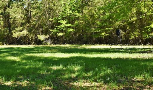 Photo #10 of SOLD property in 2650 Mill Creek Road, Bethune, SC 102.0 acres