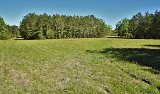 Photo #11 of SOLD property in 2650 Mill Creek Road, Bethune, SC 102.0 acres