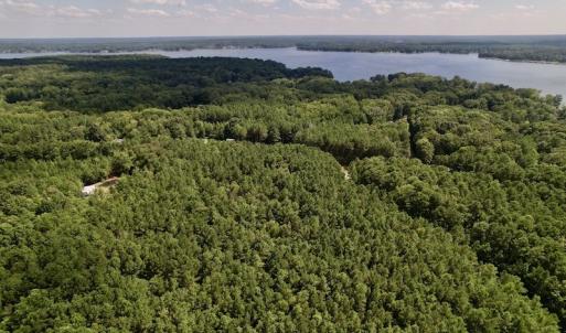 Photo #15 of SOLD property in Off Warren County Acres Road , Littleton, NC 8.0 acres