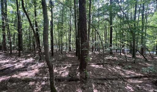 Photo #19 of SOLD property in Off Warren County Acres Road , Littleton, NC 8.0 acres