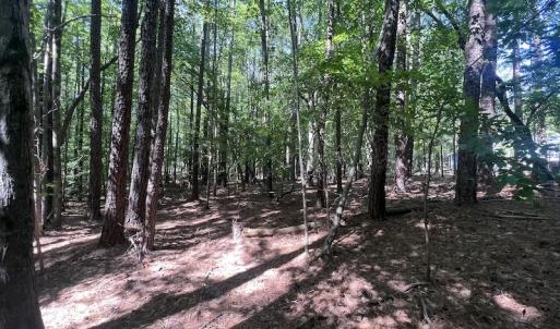 Photo #20 of SOLD property in Off Warren County Acres Road , Littleton, NC 8.0 acres