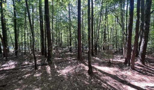 Photo #21 of SOLD property in Off Warren County Acres Road , Littleton, NC 8.0 acres
