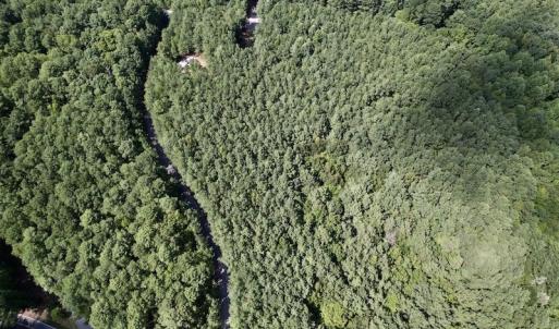 Photo #8 of SOLD property in Off Warren County Acres Road , Littleton, NC 8.0 acres