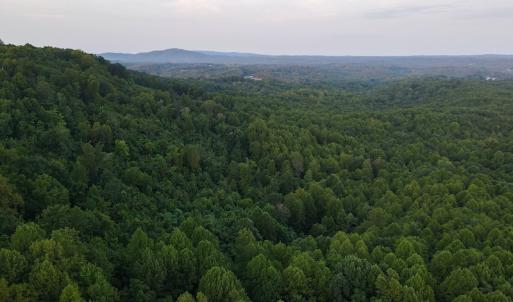 Photo #10 of SOLD property in Off Terrys Mountain Rd, Martinsville, VA 85.5 acres