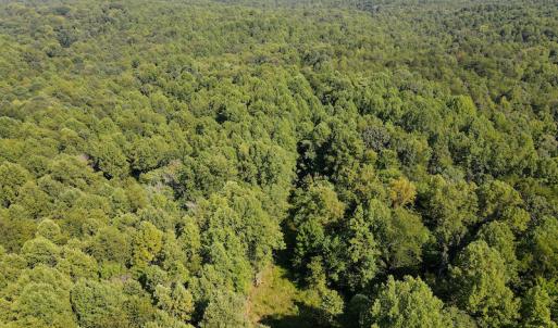 Photo #11 of Off Terrys Mountain Rd, Martinsville, VA 85.5 acres