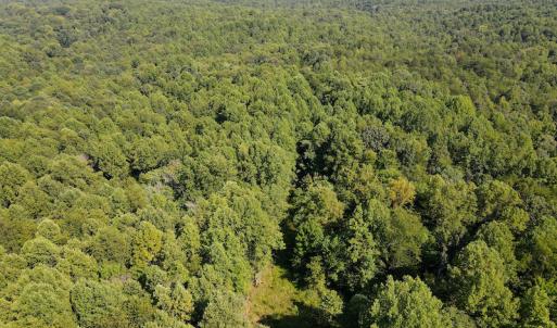 Photo #11 of SOLD property in Off Terrys Mountain Rd, Martinsville, VA 85.5 acres