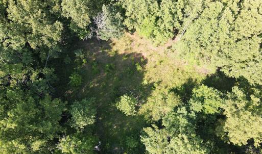 Photo #12 of Off Terrys Mountain Rd, Martinsville, VA 85.5 acres