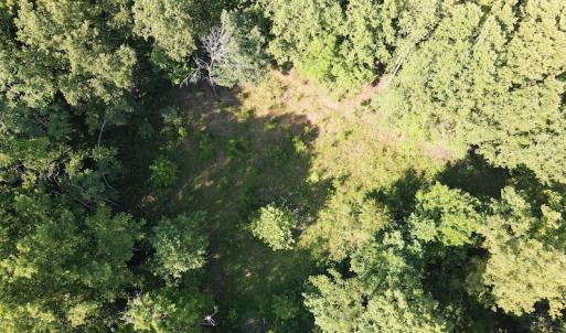 Photo #12 of SOLD property in Off Terrys Mountain Rd, Martinsville, VA 85.5 acres