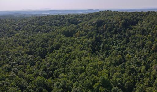 Photo #13 of SOLD property in Off Terrys Mountain Rd, Martinsville, VA 85.5 acres