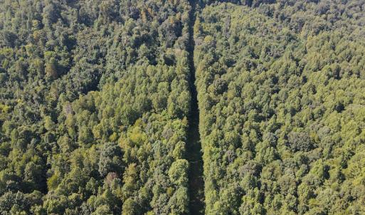 Photo #14 of Off Terrys Mountain Rd, Martinsville, VA 85.5 acres