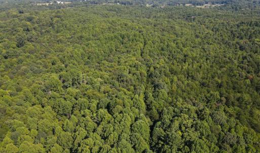 Photo #15 of Off Terrys Mountain Rd, Martinsville, VA 85.5 acres