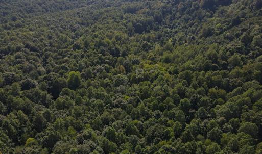 Photo #17 of Off Terrys Mountain Rd, Martinsville, VA 85.5 acres