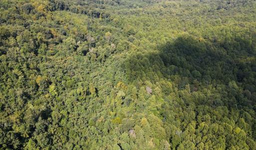 Photo #18 of Off Terrys Mountain Rd, Martinsville, VA 85.5 acres