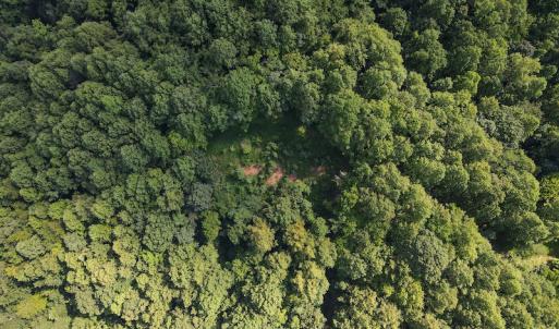 Photo #19 of Off Terrys Mountain Rd, Martinsville, VA 85.5 acres