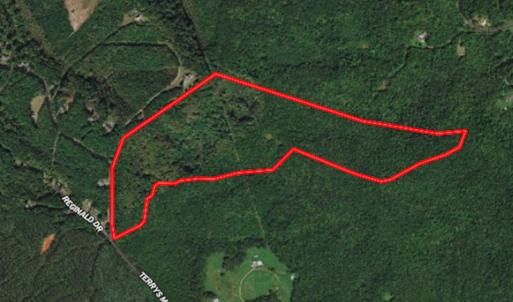 Photo #1 of SOLD property in Off Terrys Mountain Rd, Martinsville, VA 85.5 acres