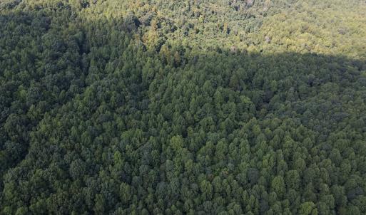 Photo #20 of Off Terrys Mountain Rd, Martinsville, VA 85.5 acres