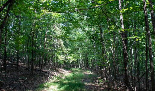 Photo #21 of SOLD property in Off Terrys Mountain Rd, Martinsville, VA 85.5 acres