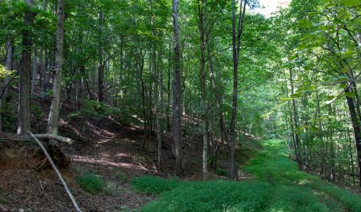 Photo #23 of Off Terrys Mountain Rd, Martinsville, VA 85.5 acres