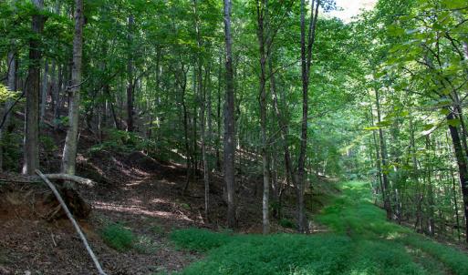 Photo #23 of SOLD property in Off Terrys Mountain Rd, Martinsville, VA 85.5 acres