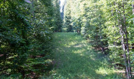 Photo #26 of SOLD property in Off Terrys Mountain Rd, Martinsville, VA 85.5 acres