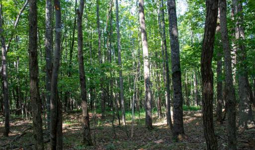 Photo #28 of SOLD property in Off Terrys Mountain Rd, Martinsville, VA 85.5 acres