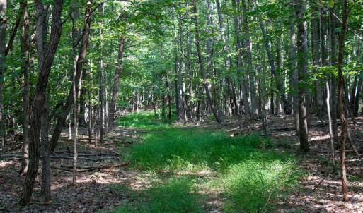 Photo #29 of SOLD property in Off Terrys Mountain Rd, Martinsville, VA 85.5 acres